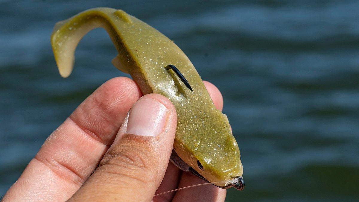 fetch swimbait