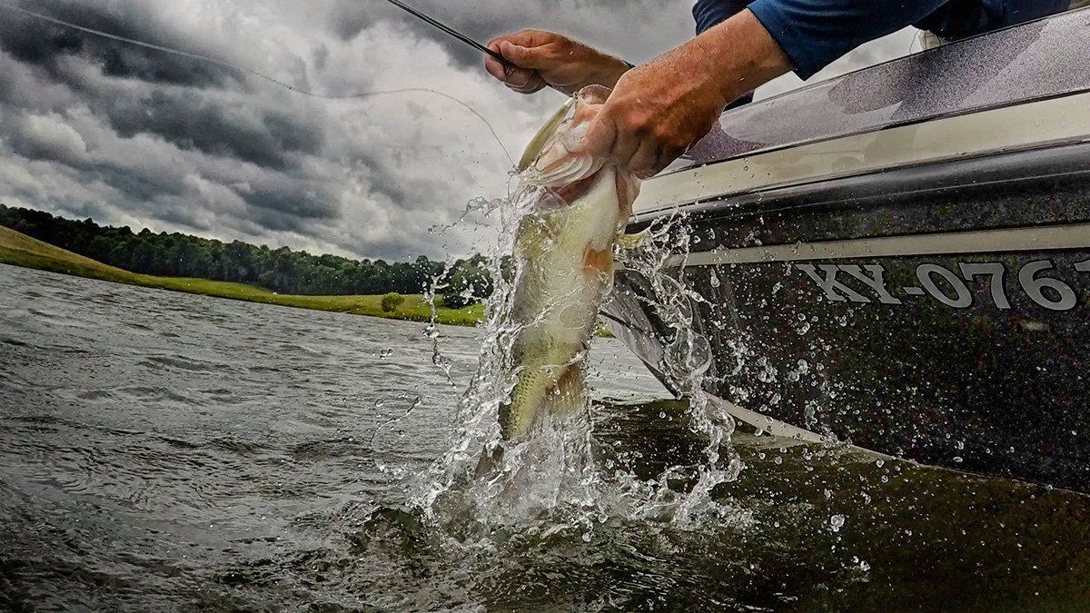 rapala-ripstop-fish.jpg