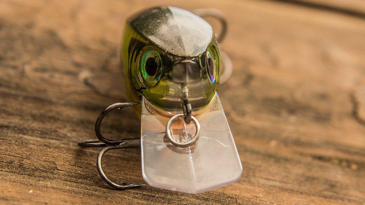 rapala-bx-brat-crankbait-bill.jpg
