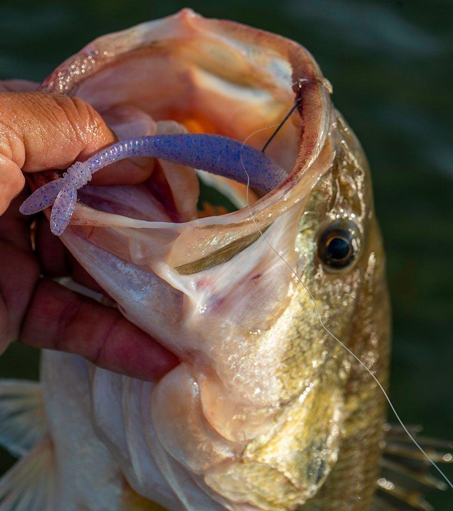 Duo-Realis-VTail-Shad-840.jpg