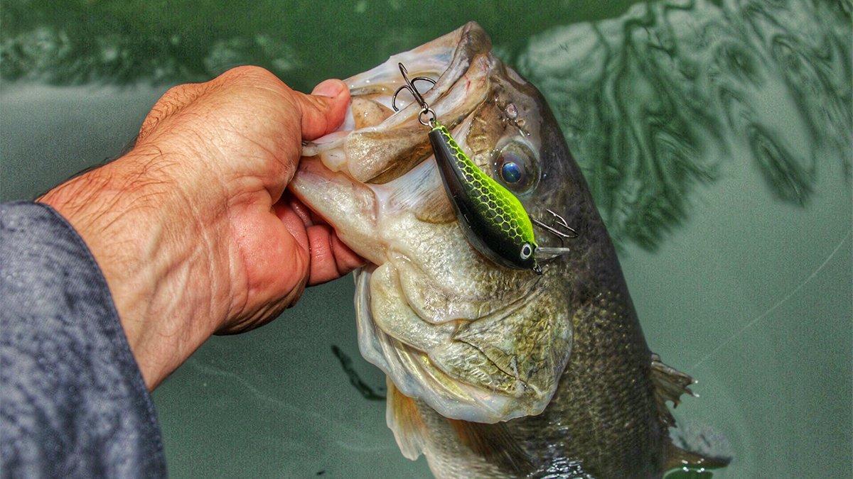 Bay Rat Lures Battle 1.5 Crankbait Review