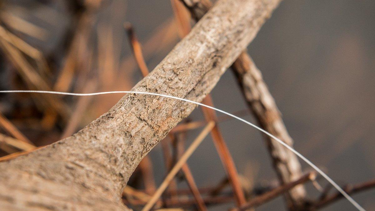 Berkley FireLine Ultra 8 Superline Review