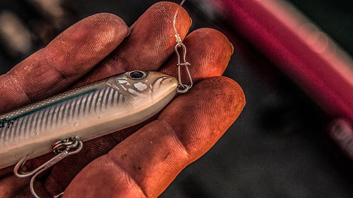 4 Topwater Lures You'll Need this Fall