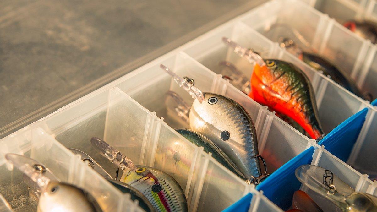 Rapala Dt 6 Crankbait Review - Wired2fish.com