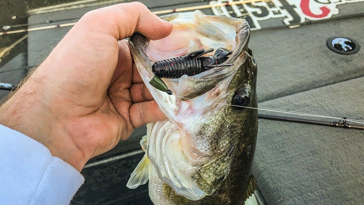 X Zone Lures Punisher Punch Craw Review
