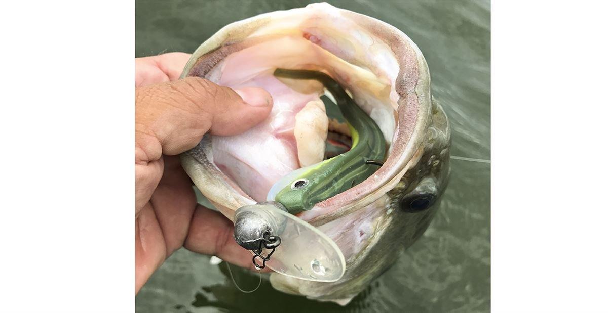 Jenko-tremor-shad-mouth.jpg