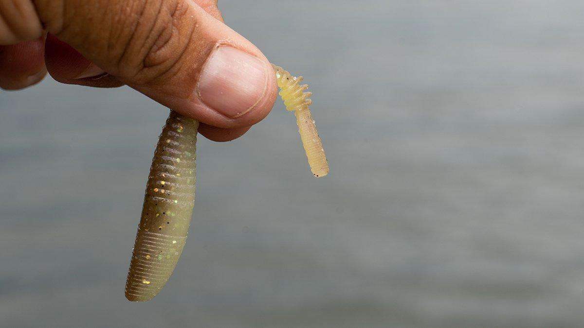 Duo-Realis-VTail-Shad-796.jpg