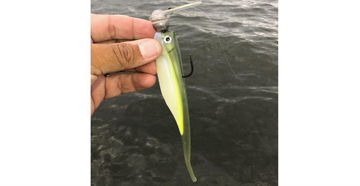 Jenko-tremor-head-shad.jpg