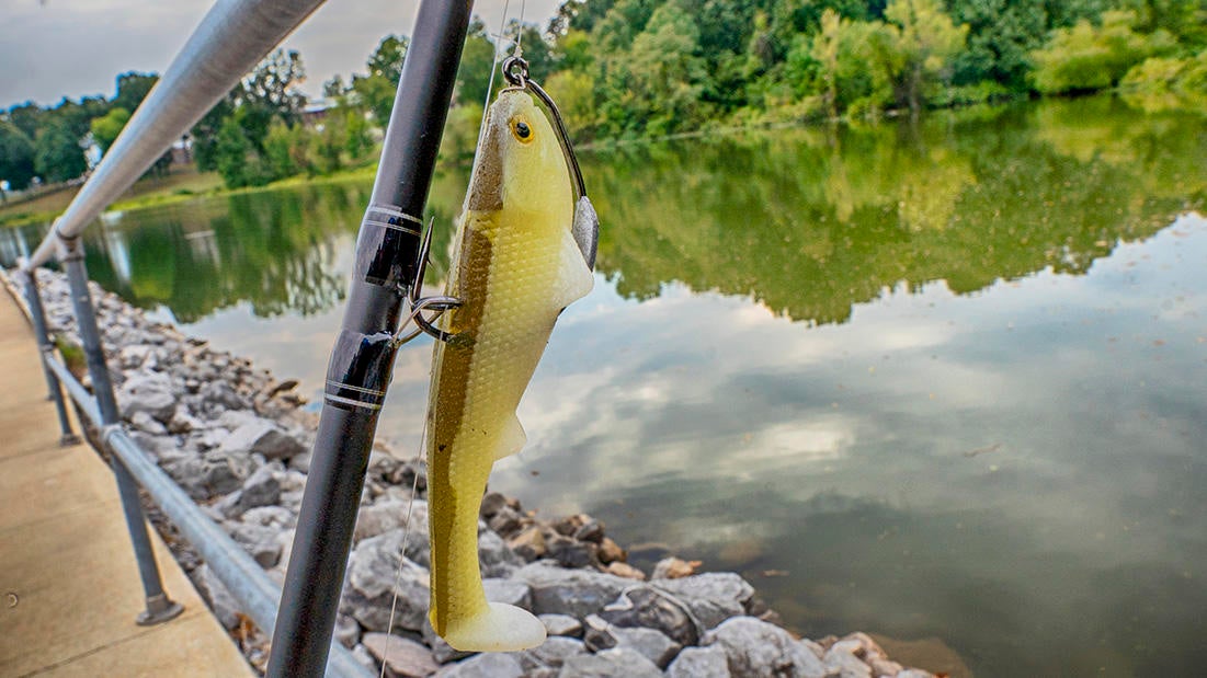 swimbait-options-3.jpg