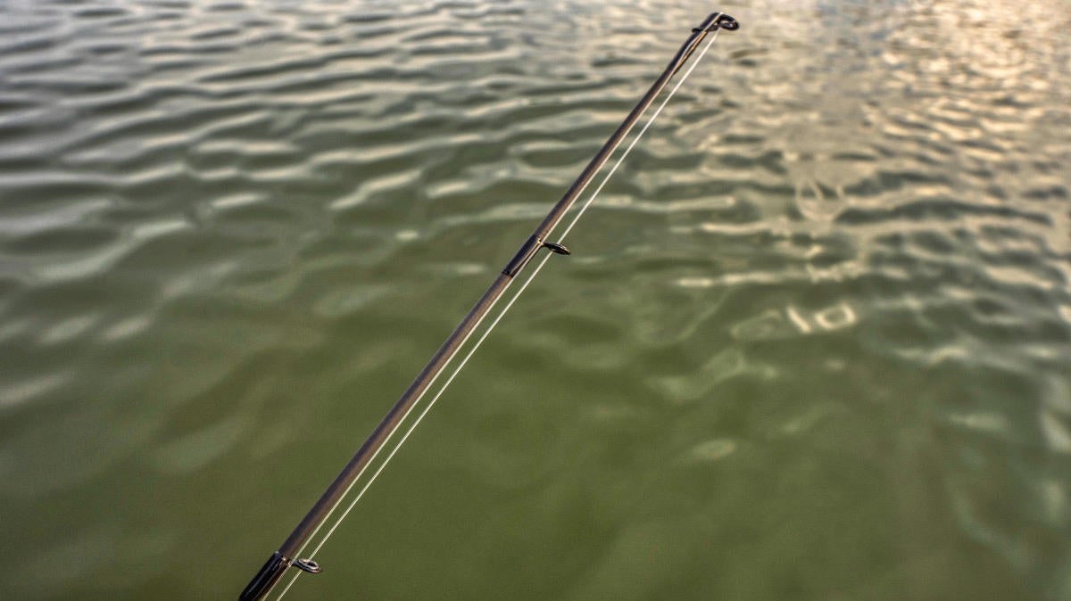 speed stick fishing rod