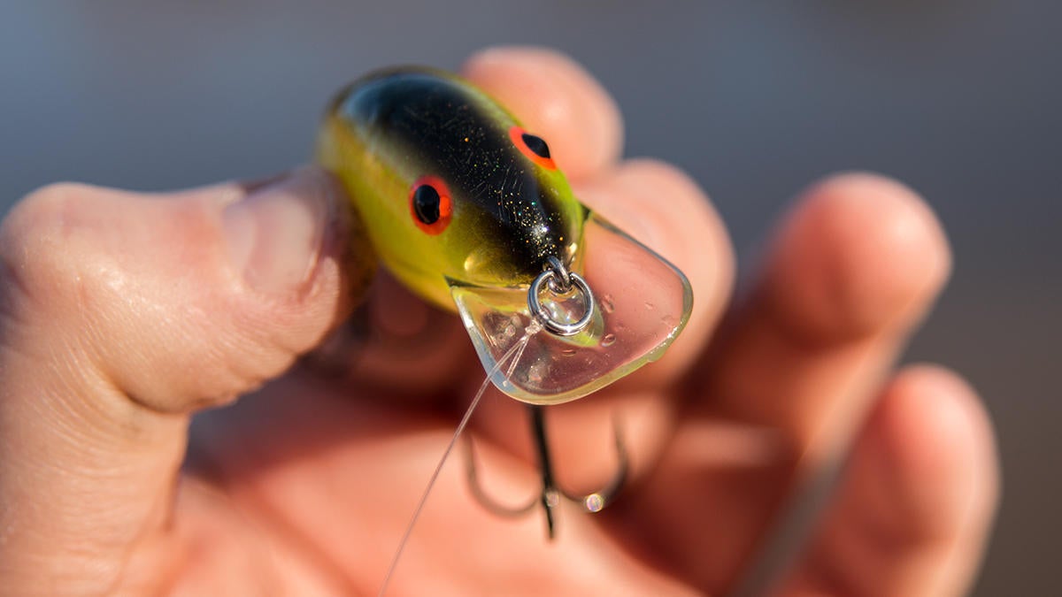 bandit-100-crankbait-between-fingers.jpg