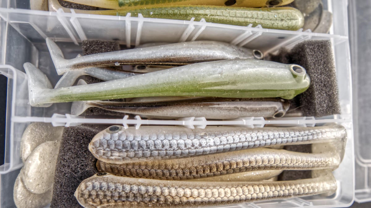 My Best Swimbait Storage Hack - Wired2Fish.com