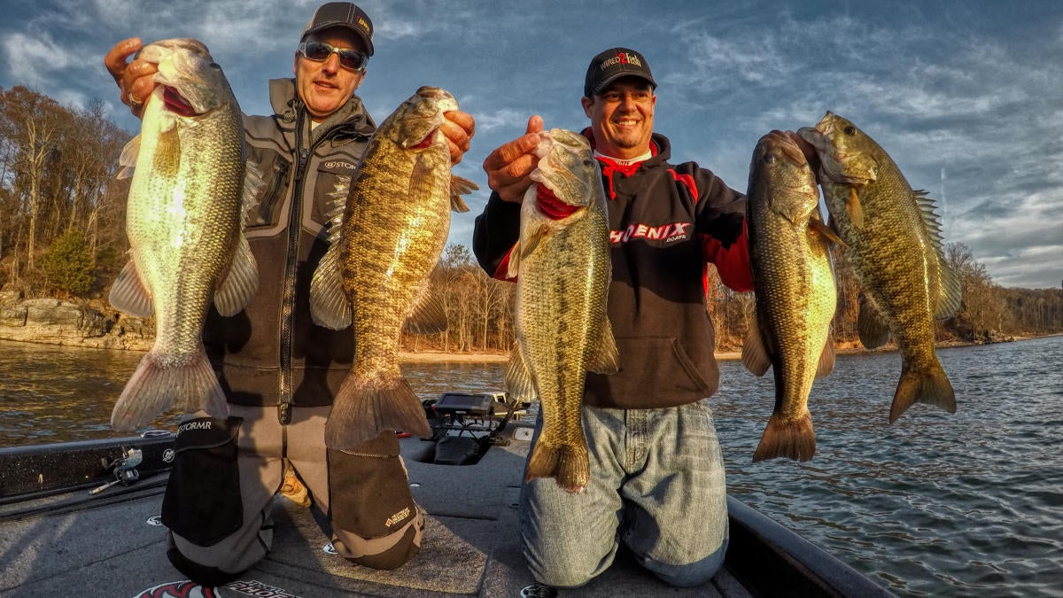 swimbait-bass.jpg