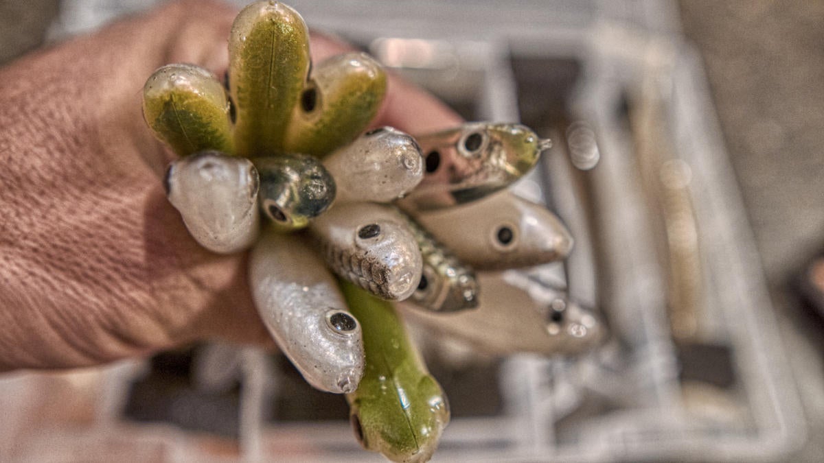 lots-of-swimbaits-in-hand.jpg