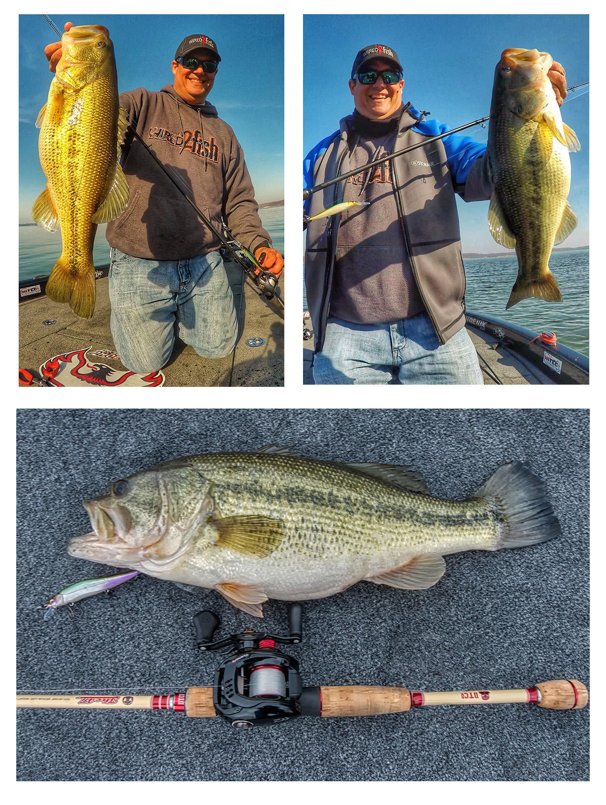 big-jerkbait-bass-jason.jpg