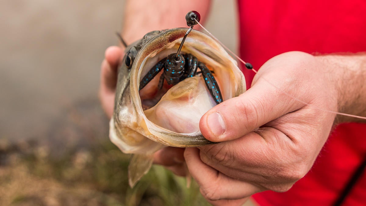 culprit-incredi-craw-in-bass-mouth.jpg