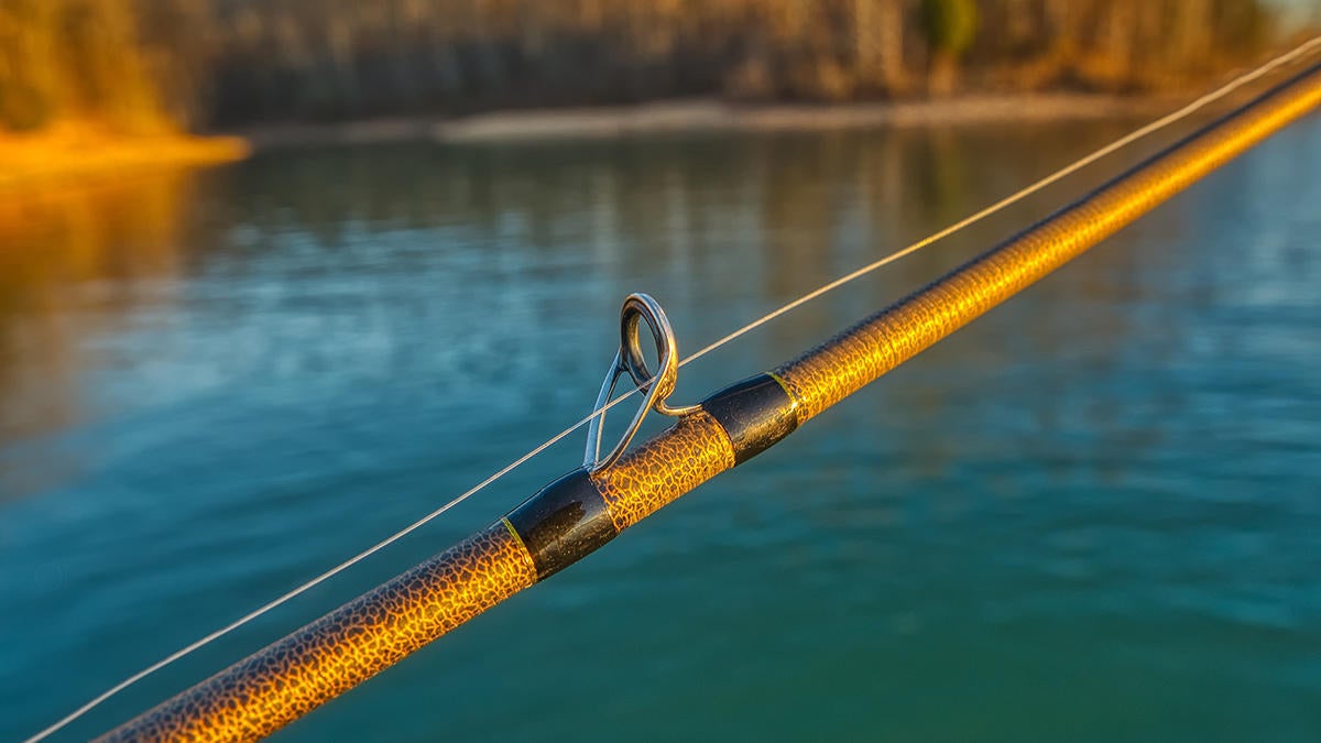 Favorite Rush Casting Rod Review Wired2fish Com