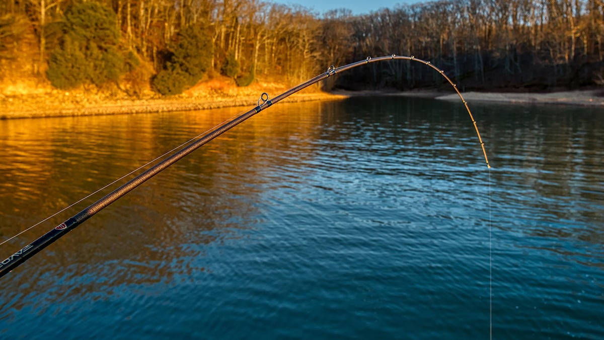 favorite-rush-bend.jpg
