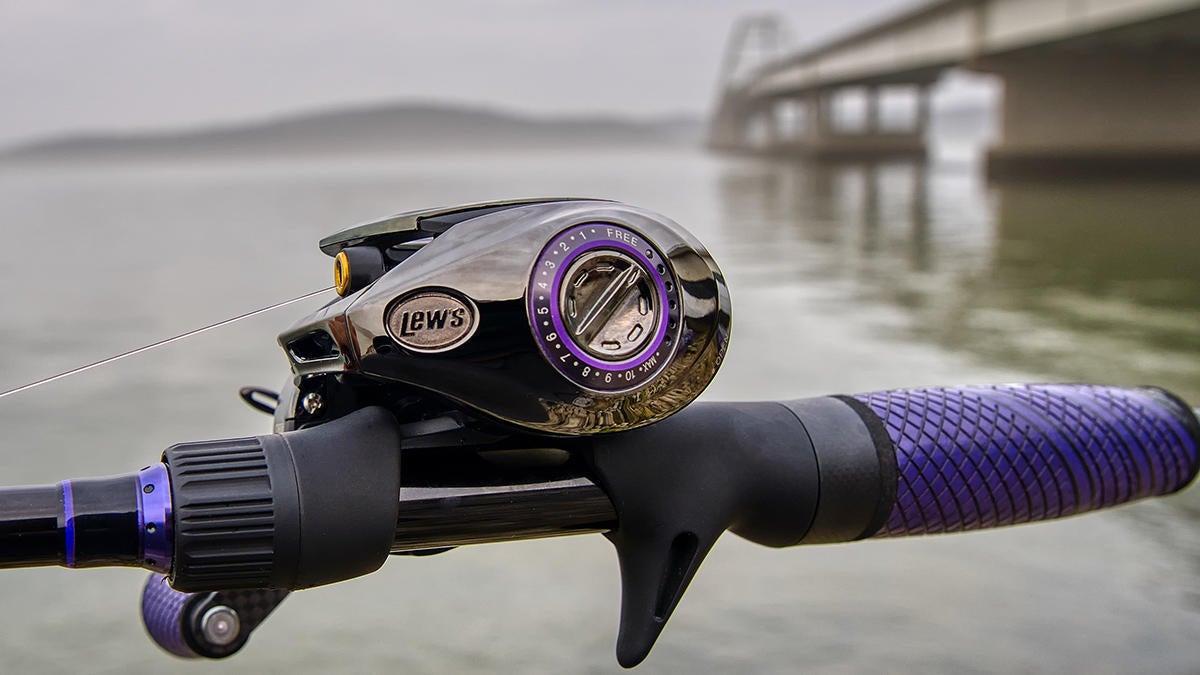 Lew's Team Pro TI Speed Stick TLPT170M Casting Rod Product Review