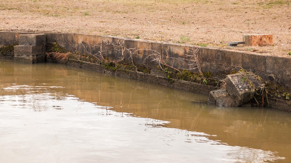 seawall-supports.jpg