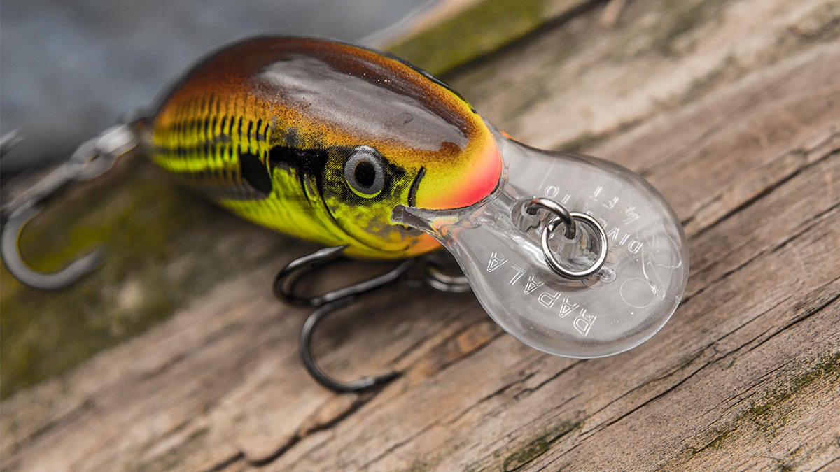 rapala-dt-4-crankbait-lip.jpg