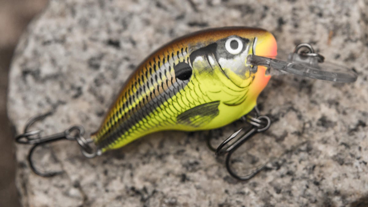 rapala-dt-4-crankbait-on-rock.jpg