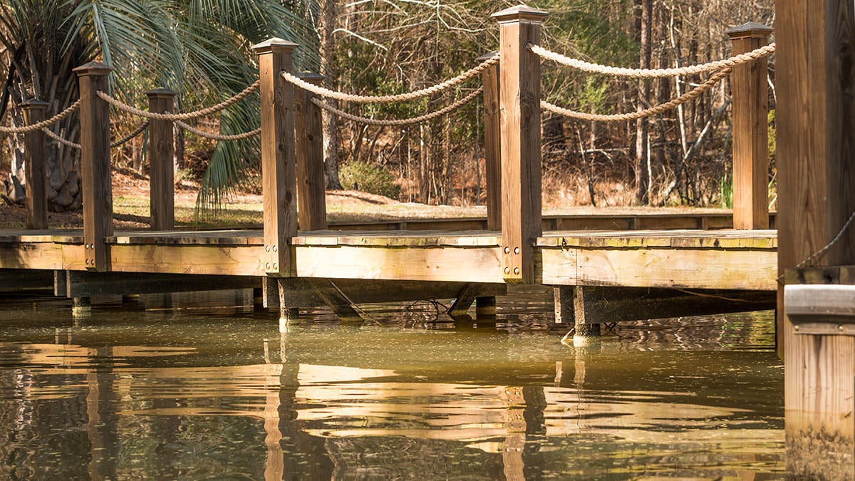 dock-walkway.jpg
