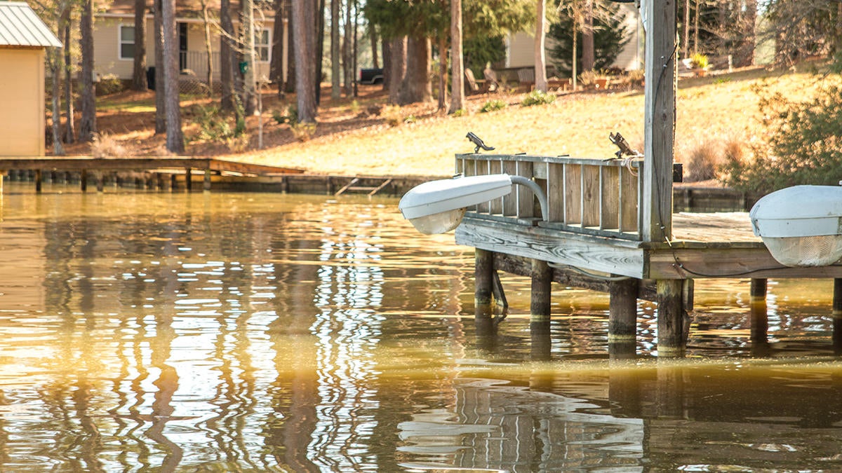 dock-brush-pile.jpg