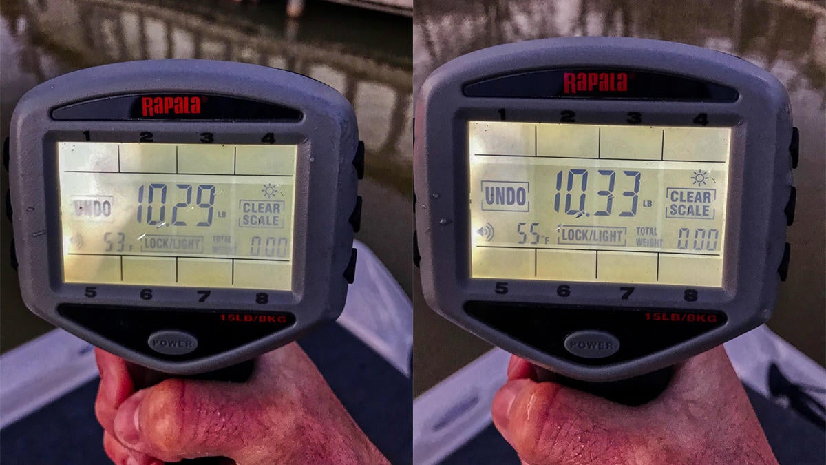 rapala-scale-two-10-pounders-hunnell.jpg