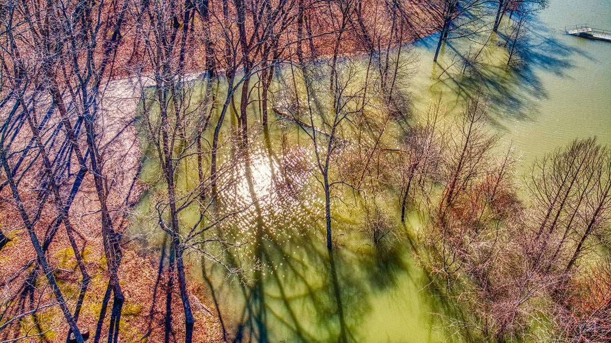 dji-0825.jpg