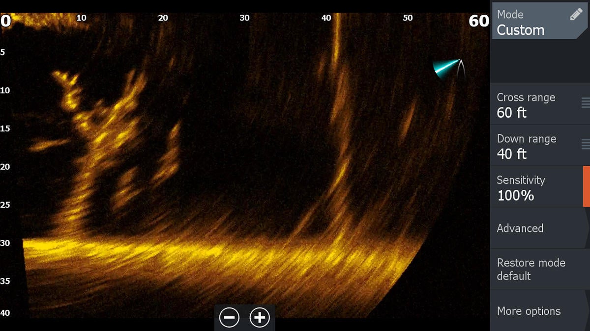 lowrance-livesight-forward-down.jpg