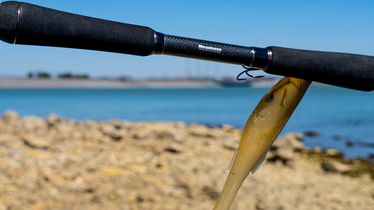 megbass-levante-12.jpg