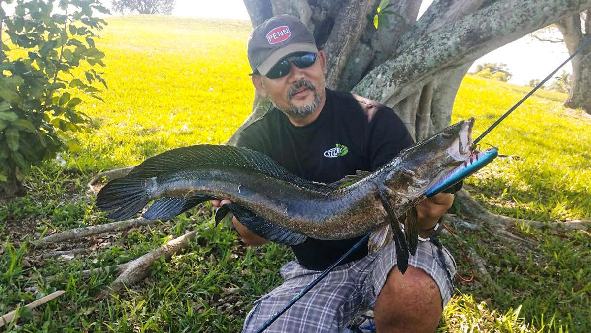 bucket-list-fishing-trip-snakehead.jpg