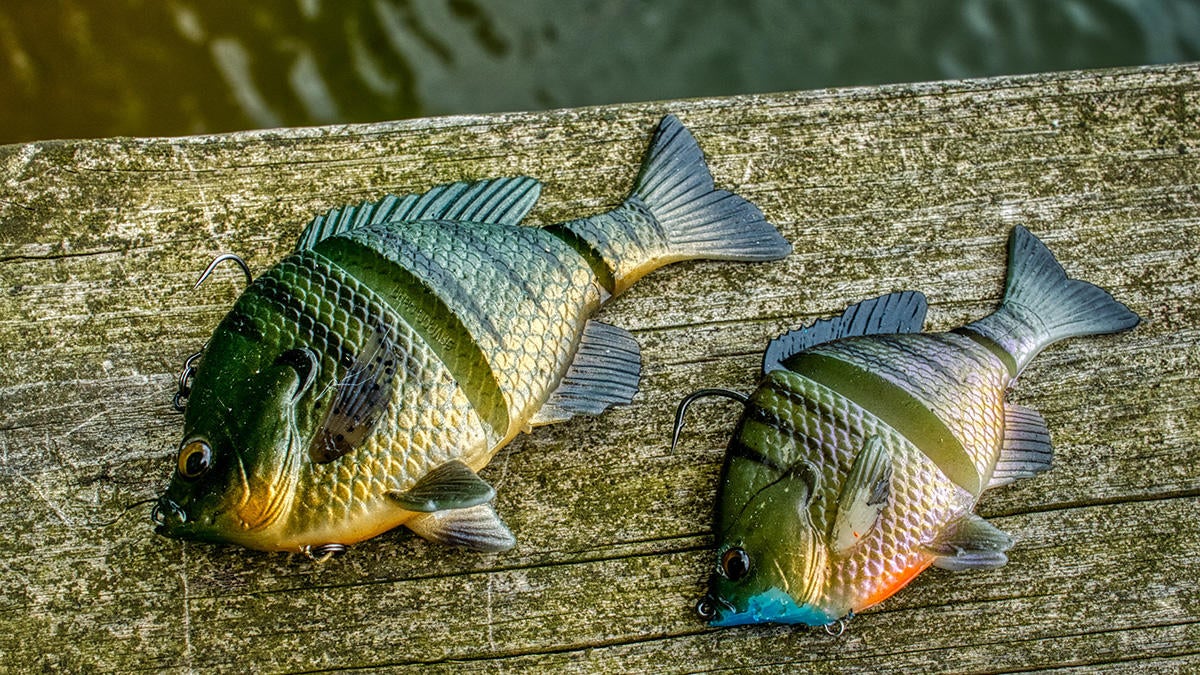how to get bluegill on bass fishing 3d
