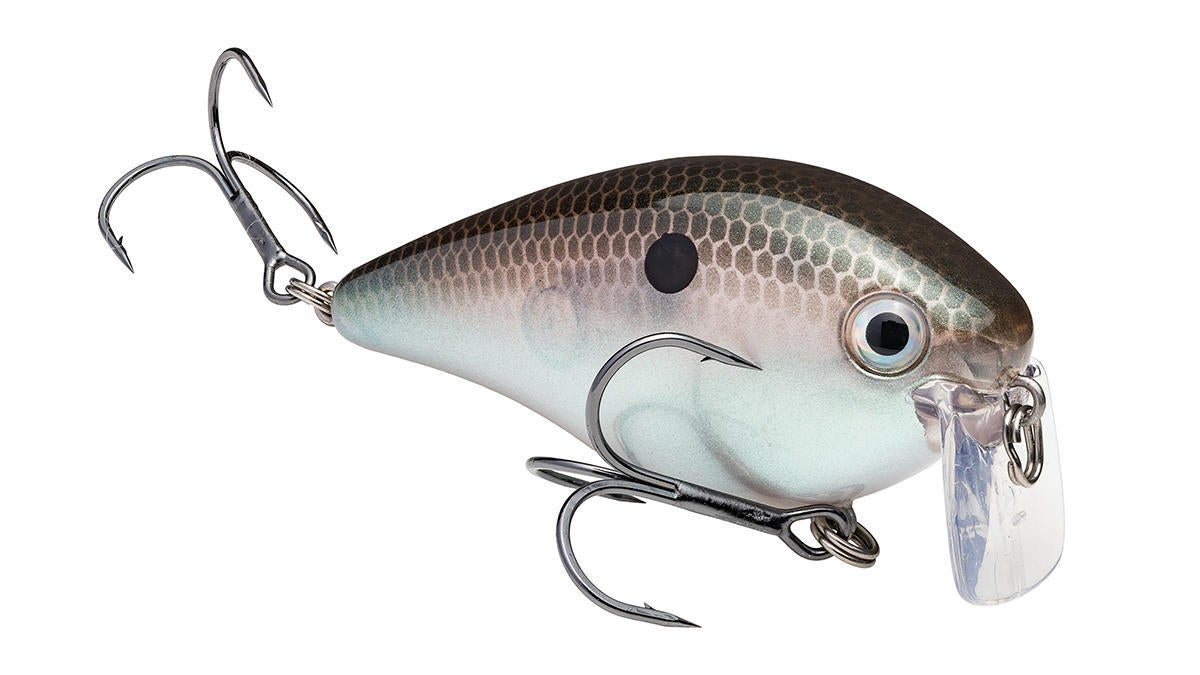 strike-king-kvd-wake-2-5.jpg