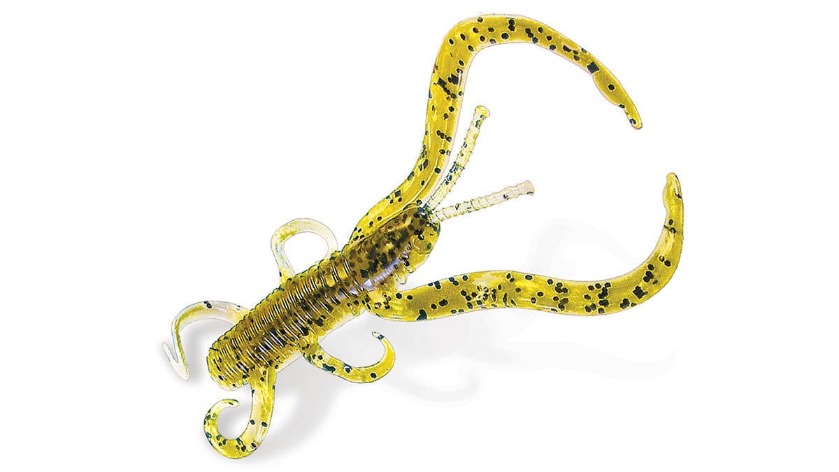 culprit-2020-flutter-craw.jpg