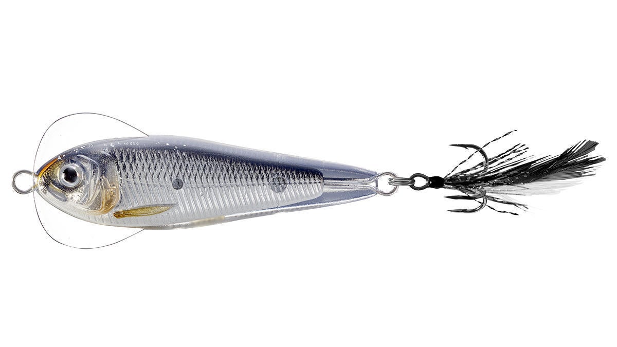 livetarget-flutter-shad.jpg