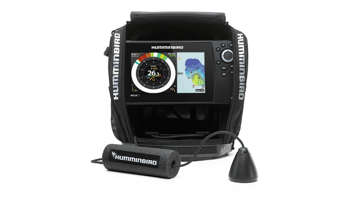 humminbird.jpg