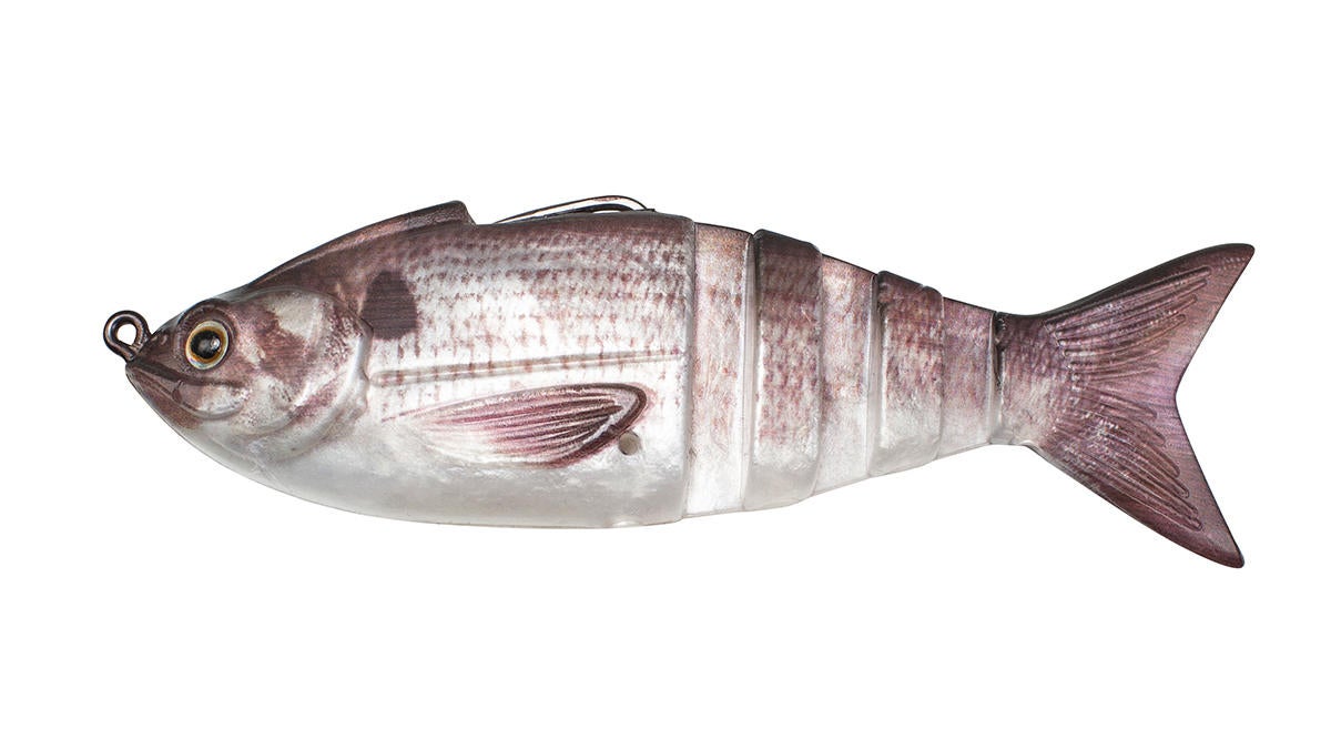 lunkerhunt-gambit-swimbait.jpg