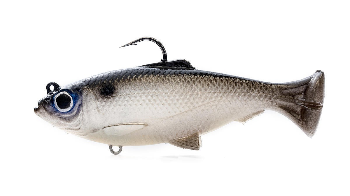 savage-gear-pulsetail-baitfish.jpg
