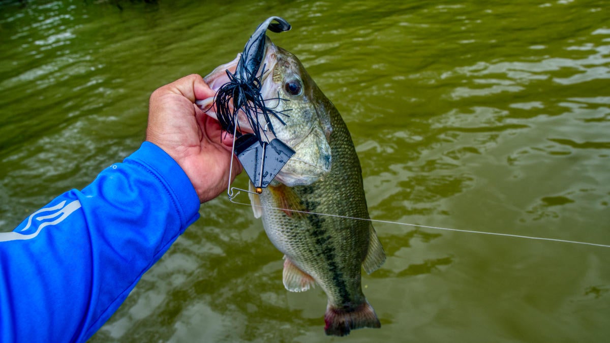 jenko-big-spring-bass.jpg