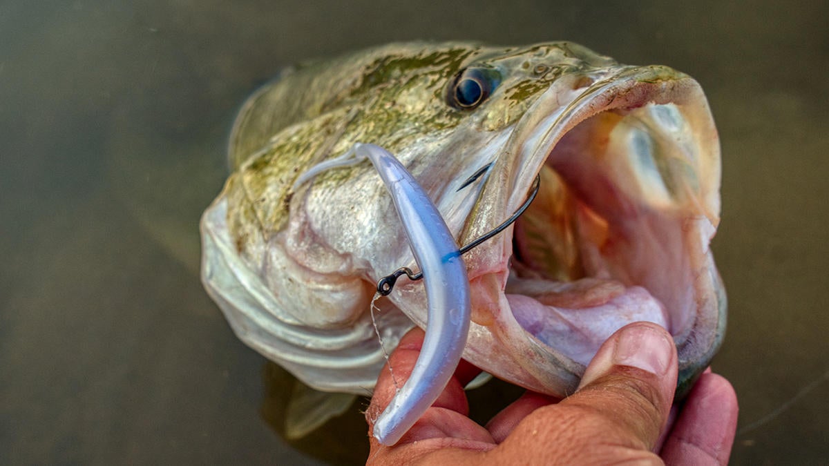 nice-bass-culprit-skinny-jerk.jpg