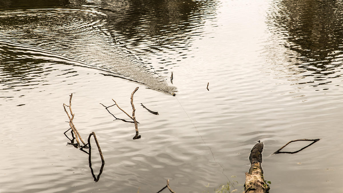 pond-fishing-low-water-6.jpg