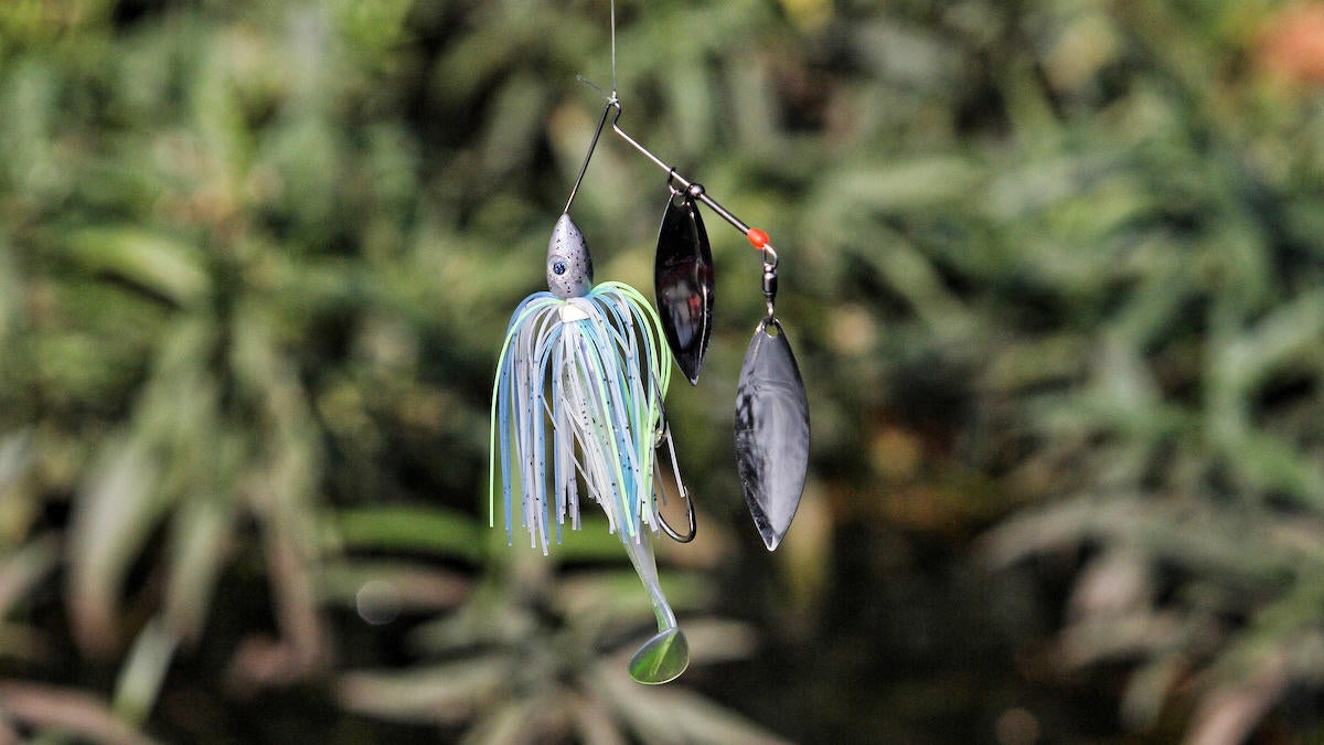 water-willow-spinnerbait.jpg