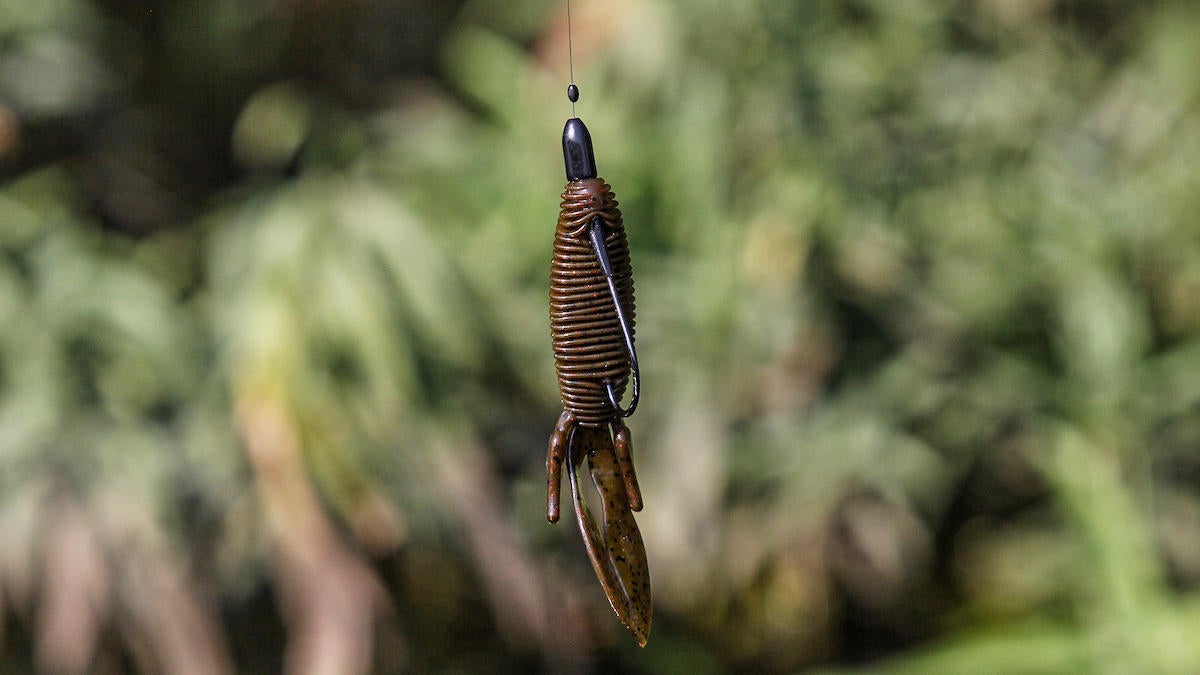 water-willow-flipping.jpg