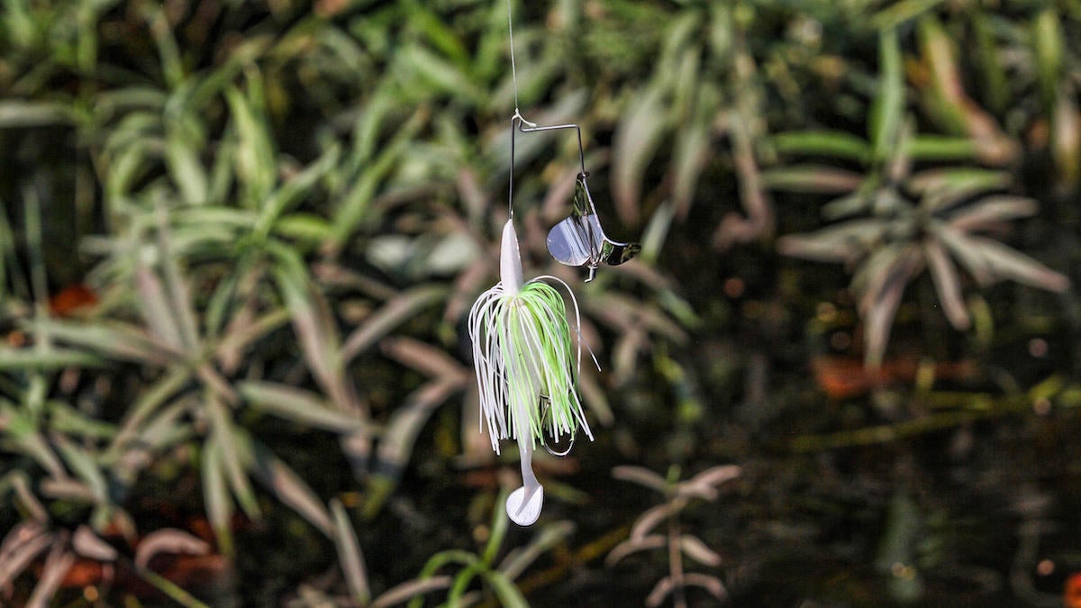 water-willow-buzzbait.jpg