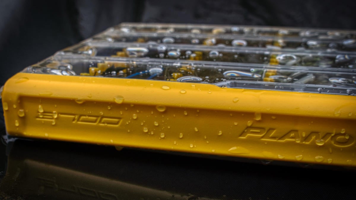 plano-edge-watered-box.jpg