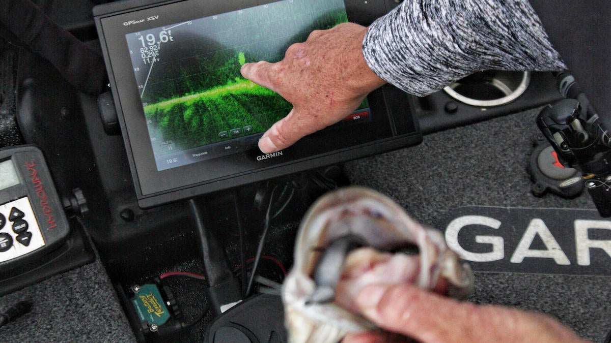 How to Catch Suspended Bass with Garmin LiveScope