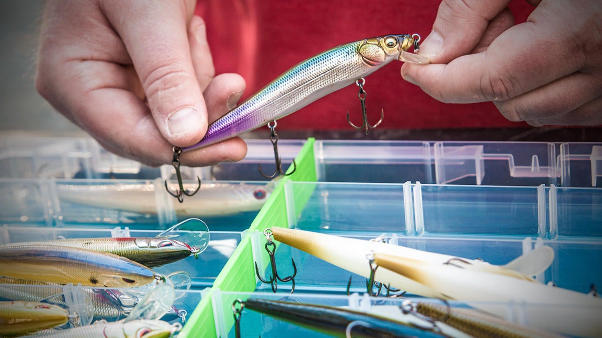 Lure Lock LL1T Large Thin 4 Cavity Review