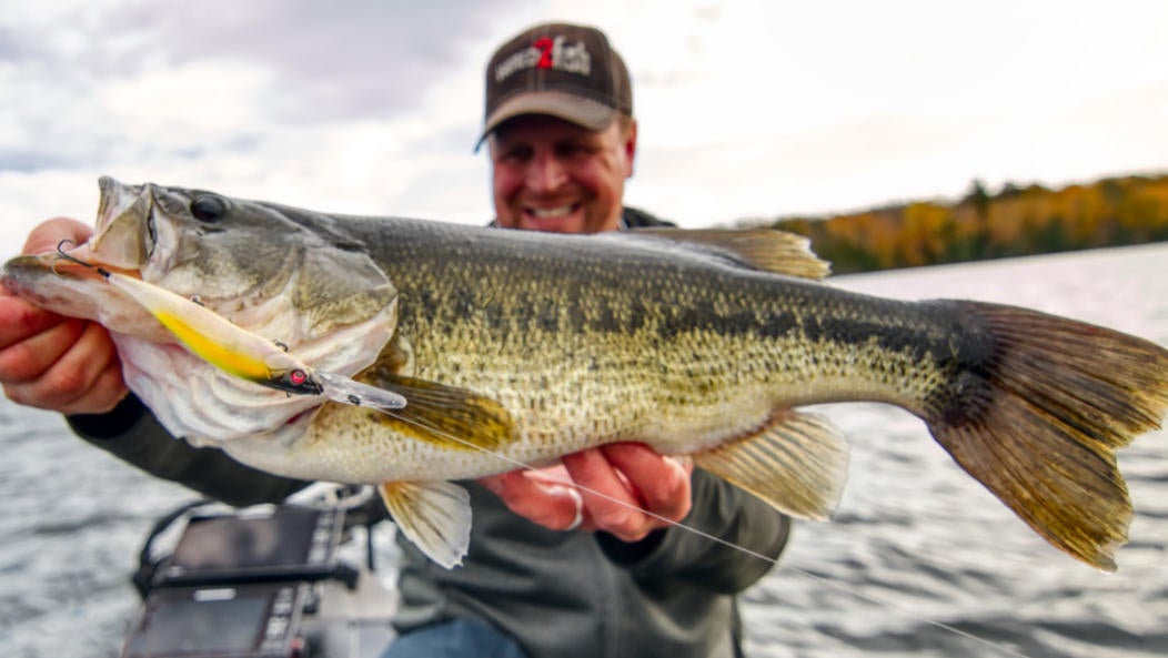 megabass-110plus2-ryan-bass.jpg